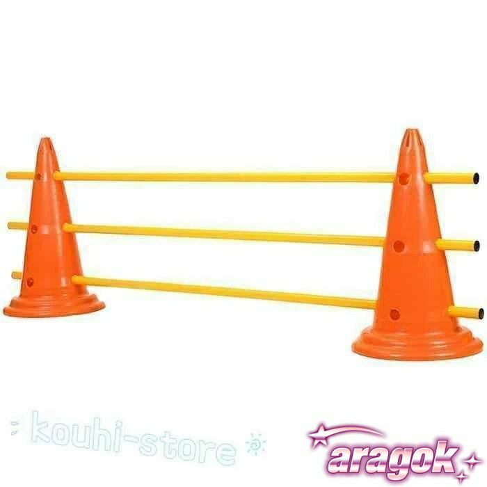 ������2����5%OFF�ۥɥå�������ƥ� �ȥ졼�˥� ������ �ݡ��� ���å� ������ƥ��� �� �����ץС� �ϡ��ɥ� ���� �ɥå� �㳲ʪ �� ���� ���� �����ä��������֤��Ŭ��