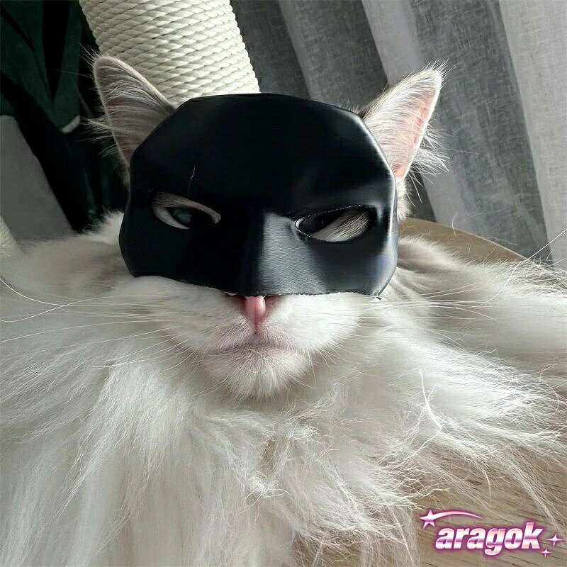 aragokの【全品5%ポイント】バットキャットマスク 猫用 コウモリコスプレマスク ハロウィン 面白い お祭りコスチューム 手作り 猫アクセサリーマスク 変身｜アングル3