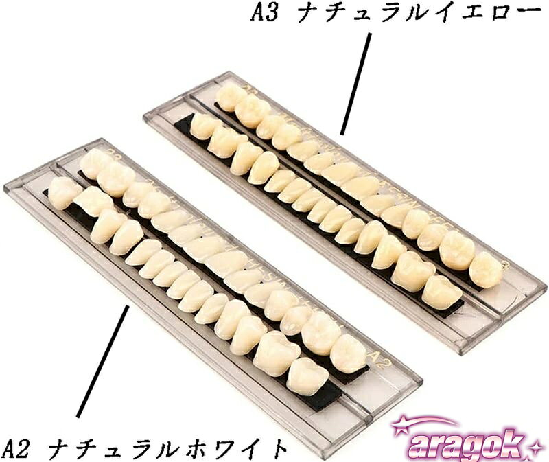aragokの【全品5%ポイント】歯 欠けた応急処置 仮歯 入れ歯ケア 歯科用アクリル 樹脂 ホワイト義歯23 28個 セット 義歯A3 義歯キット ハロウィンホラーの小道具｜アングル2
