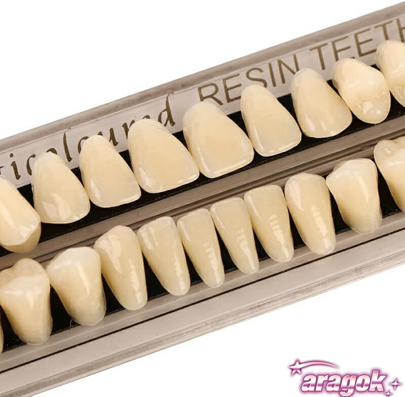 ������2����5%OFF�ۻ� �礱�����޽��� ���� ��������� �����ѥ������ ���� �ۥ磻�ȵ���23 28��/���å� ����A3 �������å� �ϥ�������ۥ顼�ξ�ƻ�������ǻȤ��䤹��