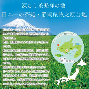 お茶 ほうじ茶 焙じ茶 静岡茶 日本茶 がぶがぶ飲めるほうじ茶ティーパック100個入 メール便配送 送料無料 がぶ飲み 業務用 お徳用 お得用 ティーバック ティーバッグ まかない お歳暮 御歳暮 茶葉 ギフト お茶葉 国産 牧之原茶 健康茶 静岡県