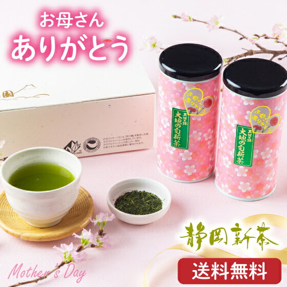 静岡茶 母の日 プレゼント 母の日ギフト ギフト 2024 新茶 母の日2本箱入セット【送料無料】 人気 実用 60代 70代 80代 八十八夜新茶 新茶 お茶 緑茶 深蒸し茶 セット ありがとう お母さんありがとう 茶 静岡茶 茶葉 健康茶 お茶葉【新茶2024】