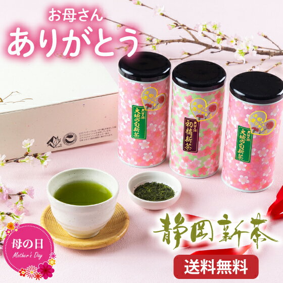 静岡茶 母の日 プレゼント 母の日ギフト ギフト 2024 新茶 母の日3本箱入セット【送料無料】人気 実用 60代 70代 80代 八十八夜新茶 新茶 お茶 緑茶 深蒸し茶 セット ありがとう お母さんありがとう 茶 静岡茶 茶葉 健康茶 お茶葉【新茶2024】