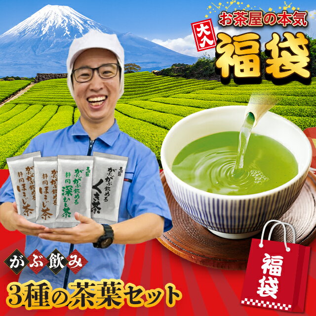 【1,000セット限定販売】【48％OFF＆送料無料】2023 飲み比べ 福袋 新茶 お茶 緑茶 静岡茶 詰め合せ がぶ飲み大入り茶葉セット メール便配送 送料無料 新春 お徳用 お得用 茶葉 ギフト お茶葉 国産 牧之原茶 健康茶 静岡県 セール ぽっきり