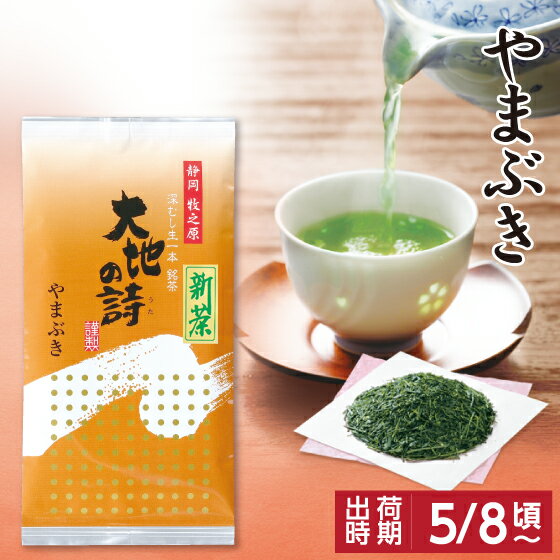 静岡茶 5/8以降発送予定【新茶予約】静岡新茶 やまぶき 100g 緑茶 お茶 緑茶 ギフト 新茶 2024 日本茶 健康茶 静岡茶 荒畑園 プレゼント 静岡新茶 静岡 茶 煎茶 深蒸し茶 深むし茶 お茶葉 健康茶 静岡土産 お土産 祖父 祖母 香典返し 法事 新茶