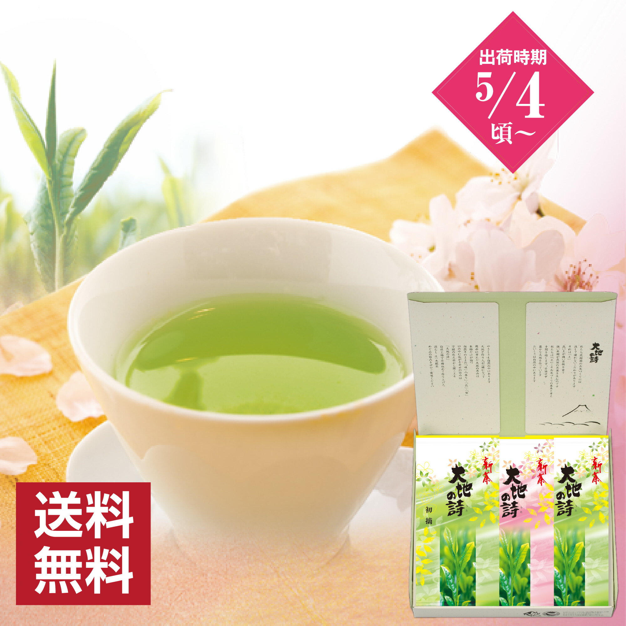 新茶 2024年度産 新茶ギフト 初摘 大地の旬3袋箱入 送料無料 新茶 お茶 日本茶 健康茶 静岡茶 荒畑園 プレゼント ギフト 父 静岡新茶 静岡 茶 煎茶 深蒸し茶 深むし茶 お茶葉 健康茶 静岡土産 お土産 祖父 祖母 香典返し 法事