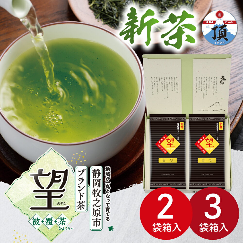 新茶2024 新茶ギフト 水出し茶 水出し緑茶 冷茶 静岡牧之原市ブランド茶 望金印 100g （2袋・3袋） 箱入り 送料無料 ギフト プレゼント お茶 緑茶 ギフト 静岡茶 国産 牧之原産 茶葉 日本茶 荒畑園 水出し 水だし