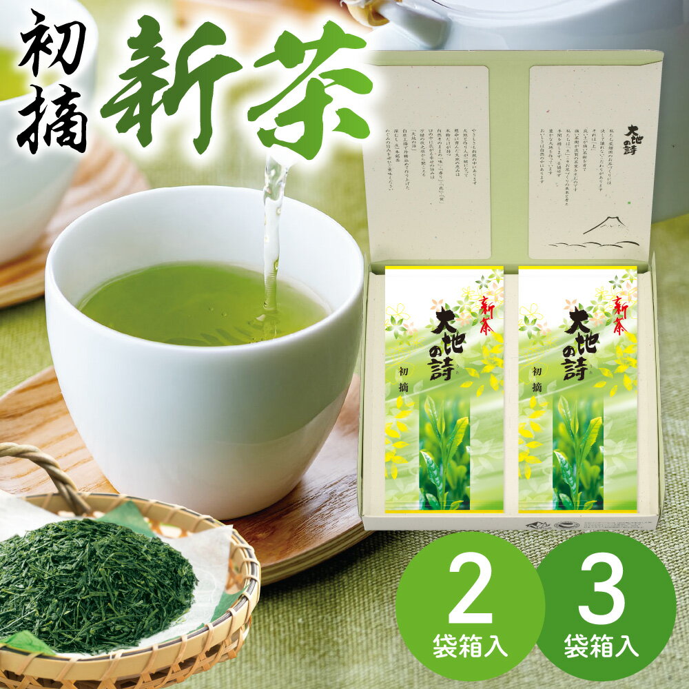 静岡茶 新茶 2024年度産 新茶ギフト 初摘 ギフト箱入 （2袋 / 3袋） 緑茶 お茶 新茶 予約 ギフト 日本茶 静岡茶 国産 牧之原産 プレゼント 茶葉 お茶 日本茶 荒畑園 新茶ギフト 静岡新茶 静岡 茶 煎茶 深蒸し茶 お茶葉 健康茶 静岡土産 お土産 祖父 祖母 香典返し 法事