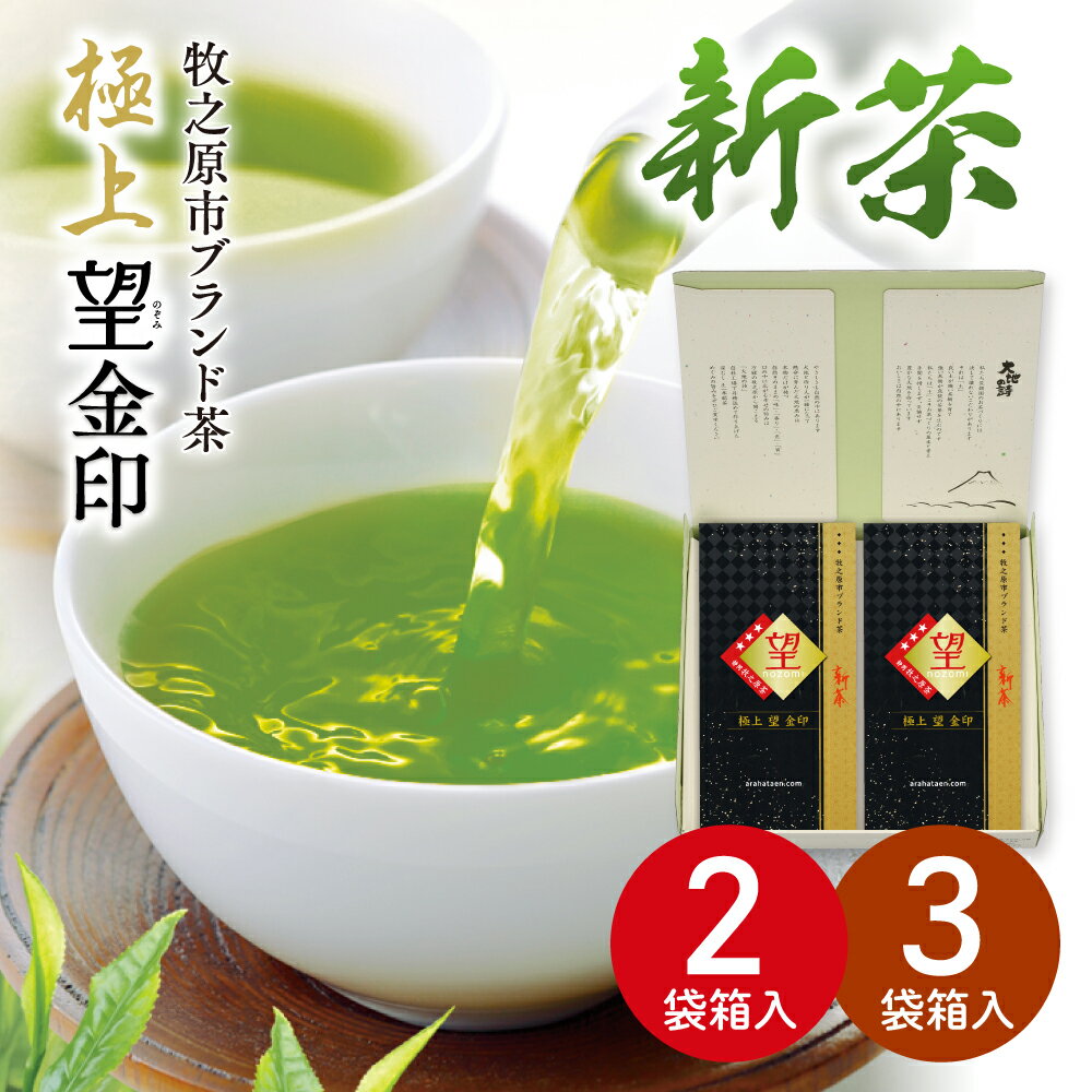 静岡茶 新茶 2024年度産 極上 望 金印100g箱入 ギフト箱 緑茶 お茶 新茶 ギフト 日本茶 静岡茶 国産 牧之原産 プレゼント 茶葉 荒畑園 静岡新茶 静岡 茶 煎茶 深蒸し茶 お茶葉 健康茶 静岡土産 お土産 祖父 祖母 香典返し 法事 送料無料 静岡新茶 新茶ギフト