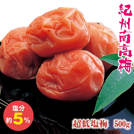 超低塩梅【500g】紀州南高梅！梅 梅干し はちみつ うめ うめぼし ウメ ウメ干し 減塩 梅ぼし 梅ボシ【お茶 緑茶 日本茶 荒畑園 プレゼント