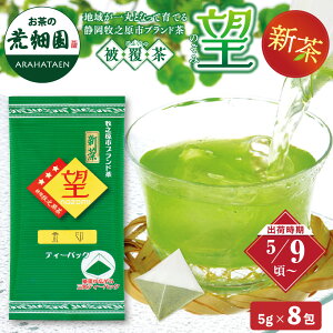 新茶 2025 2025年度産 静岡深むし茶 望 金印ティーパック(5g×8ヶ入) 水出し緑茶 水出し茶 冷茶 お茶 緑茶 ティーパック 水出し 日本茶 煎茶 ティーバッグ 緑茶 お茶 日本茶 荒畑園 ギフト プレゼント 【新茶予約】