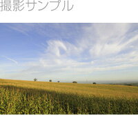 【送料無料】ニコン 広角ズームレンズ AF-S DX Zoom Nikkor ED 17-55mm F2.8G（IF） JAN末番4237