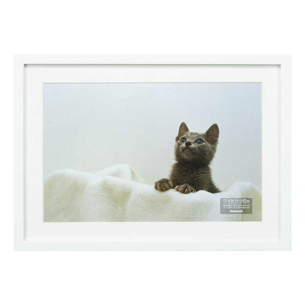 ナカバヤシ 木製写真額／W六ツ切／ホワイト F-SW-113-W