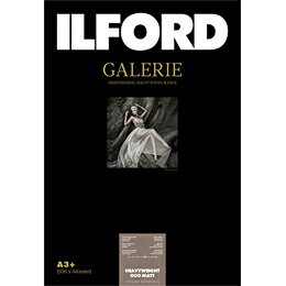 ILFORD GALERIE Prestige Heavyweight Duo Matt　A3+ 50枚
