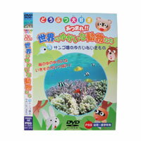 【メール便OK】【即納】どうぶつ大好き　あつまれ！！世界のゆかいな動物たち　3サンゴ礁のゆかいないきもの ／DVD