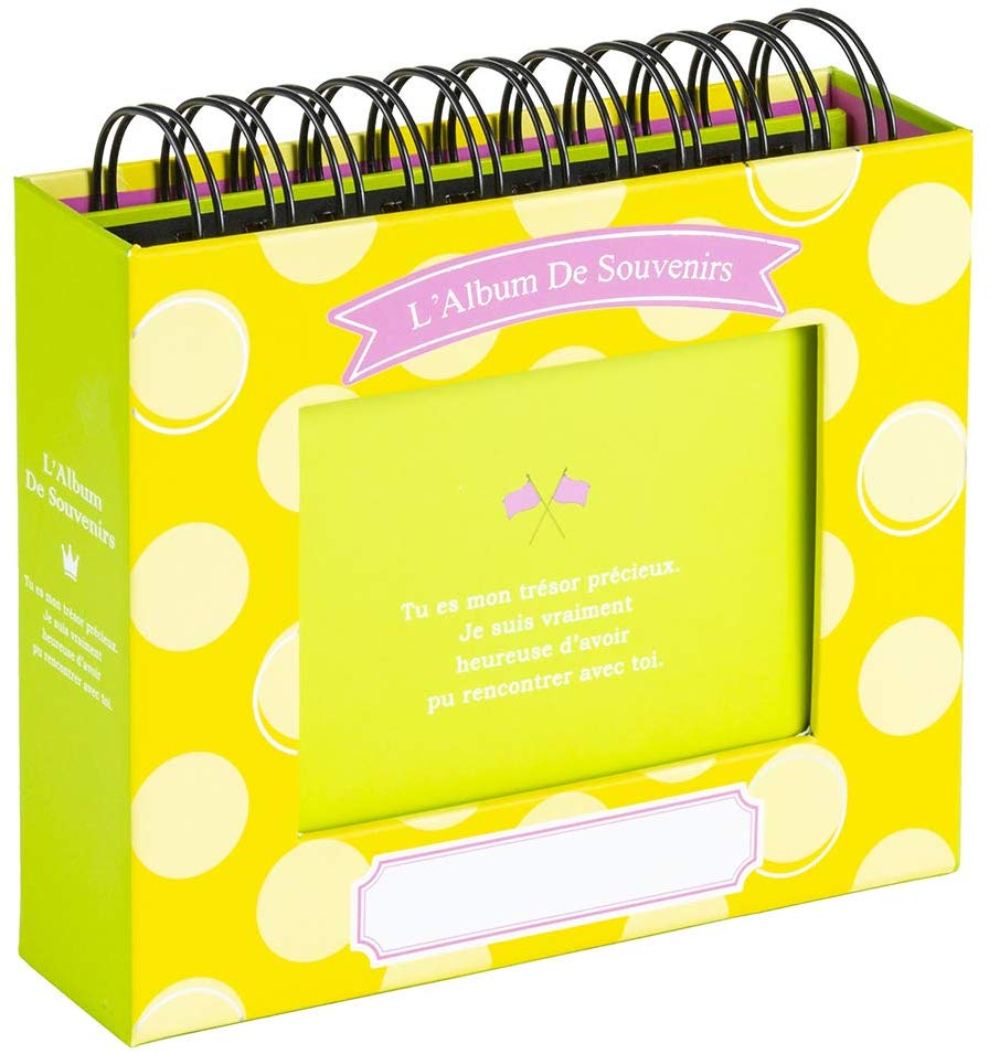 ナカバヤシ フォトランク フレームケースアルバム L ドット／イエロー A-FTPC-103-Y