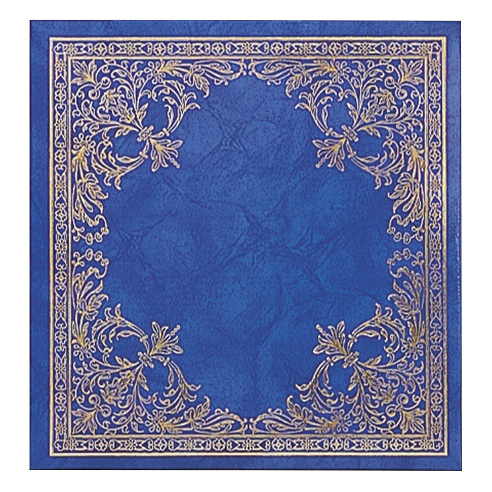 ナカバヤシ フエルアルバム 30枚台紙フリーアルバム ピセ ブルー アフ-502-B