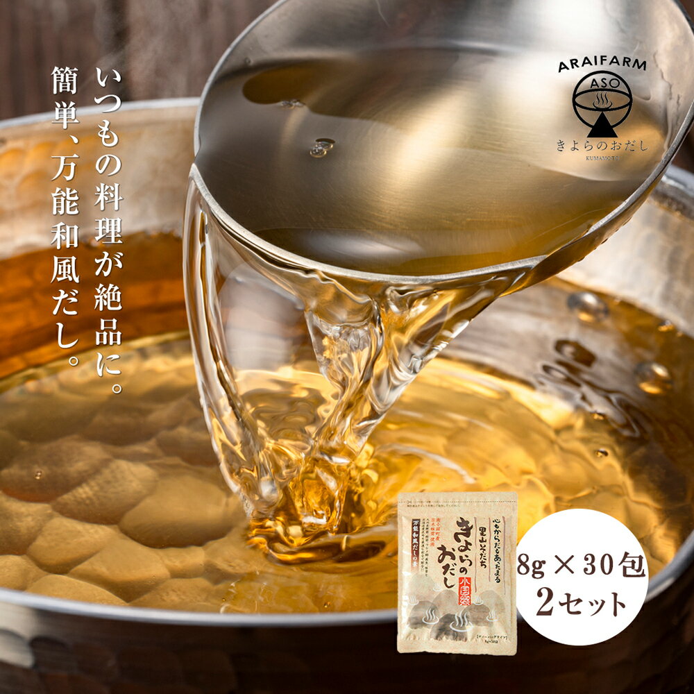 万能和風だしパック 万能だし 国産 和風だし 保存料無添加 合わせだし 出汁パック だしパック 無添加 ダシパック 阿蘇 小国郷産 原木椎茸 九州産あご 鰹本枯れ節 など国産厳選素材を使用 きよらのおだし お手軽 8g×30P 2袋セットのサムネイル