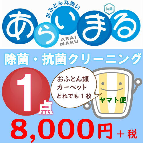 布団クリーニング カーペットクリーニング どちらか 1点 クリーニング 布団丸洗い ふとんクリーニング 毛布 パット 羽毛 羽根 まくら カーペット 玄関マット 宅配 送料無料