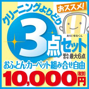 布団クリーニング カーペットクリーニング 送料無料　3点 組み合わせ自由 羽毛 ふとん丸洗い 羽毛布団 毛布 こたつ布団 寝袋　カーペット (3帖まで) マット ふとんクリーニング