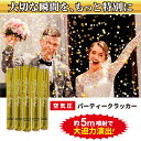 バズーカ バズーカー クラッカー パーティー クラッカーパーティー インスタ インスタ映え バースデー 誕生日 イベント グッズ パーティークラッカー 結婚式ク...