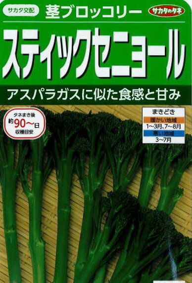 乐天商城 - スティックセニョール 種 小袋詰