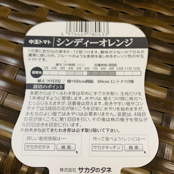 シンディーオレンジ 中玉トマト 接木苗 　9センチポット メーカー サカタのタネ
