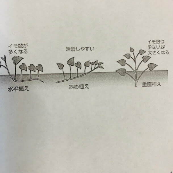 ���ĥޥ����� �Ȥ������� �����ǥۥ��ۥ��Ťߤ����������դ�������120��140������ϡ�����������ɽ��