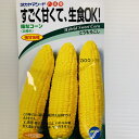 味なコーン とうもろこし種 18ミリ入 約60粒 播種から約86日で収穫 生食OKスイートコーン