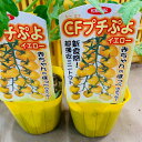 うす皮ミニトマト苗 ぷちぷよイエロー 接木苗 9センチポット 皮が極薄く甘い 新食感