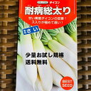 青首ダイコンのタネ　9〜10月まき　品種名：耐病総太り 約150粒入り(8ミリリットル入り）　家庭菜園オススメ品種　お試し用　1袋で栽培面積約20m分 小袋　※日時指定不可