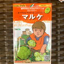 黄緑 カリフラワーのタネ 50粒入 品種名:マルケ エメラルドグリーン イタリア野菜