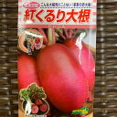 紅くるり大根 種 小袋 約180粒(3ミリリットル)外皮も果肉も赤いユニークダイコン