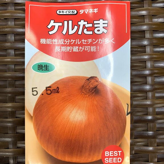 長期貯蔵用 タマネギのタネ 品種名 ケルたま 約500粒（育苗本数約200〜300本分）5.5ミリリットル 小袋詰　吊って長期保管するならこれ！　ケルセチンという機能成分を多く含む