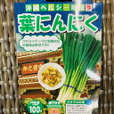 葉にんにく球根種100g 小袋詰　8〜10月植え 9〜12月収穫　植え付け目安：およそ650mmプランター1個分　沖縄県産　苗 茎