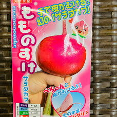 楽天市場】もものすけの通販