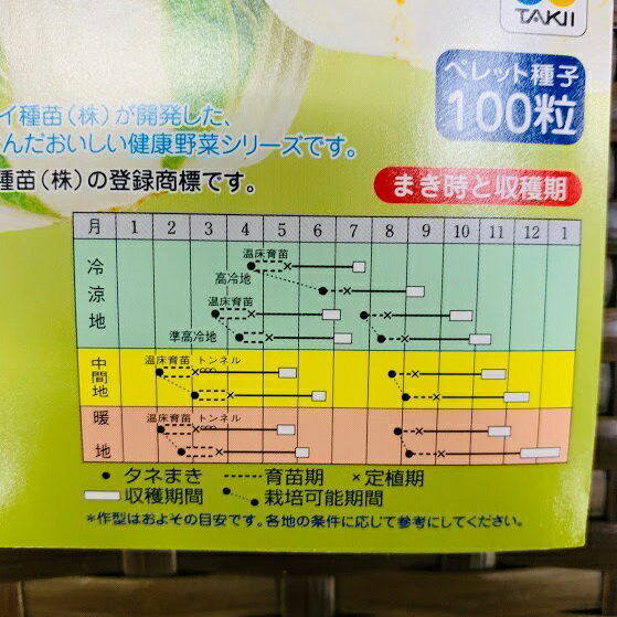 オレンジクイン白菜 ペレット100粒（コーティング種子）サラダにも