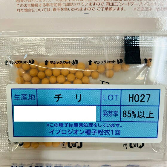 オレンジクイン白菜 ペレット100粒（コーティング種子）サラダにも