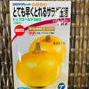 トップゴールド320玉葱 種 3.5ミリ(約300粒) 超極早生種 とても早く獲れるサラダ玉葱