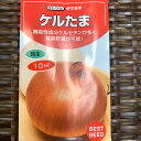 ケルたま 玉葱種 10ミリ入 約900粒(育苗本数約500〜600本分)吊って長期保管するならこれ! ケルセチンという機能成分を多く含む