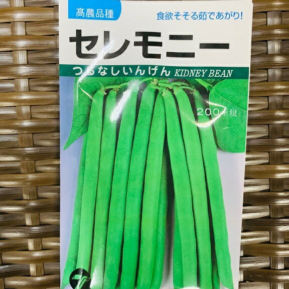 乐天商城 - セレモニー つるなしインゲン種　小袋 20ミリリットル 播種後約55日後収穫