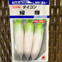 緑輝大根 タネ 16ミリリットル 約400粒 タキイ交配