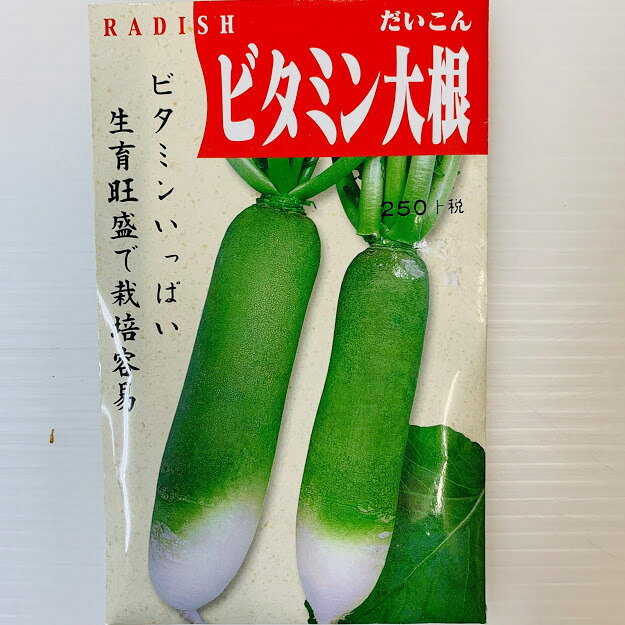 ビタミン大根 種 小袋 青長大根　中国大根　根形15〜25センチくらいの小型のビタミンいっぱいの大根