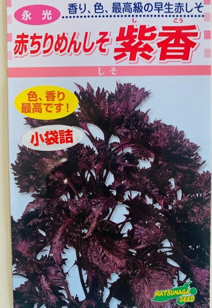紫香 赤しそ種 小袋(8ミリ入) 色・香り共に良い赤しその選抜種　3000粒以上