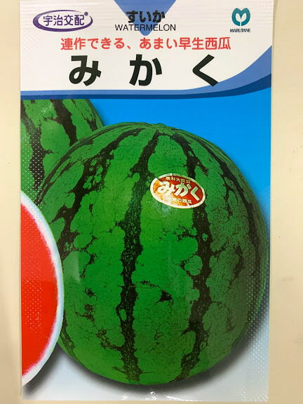 樂天商城 - 連作可能な西瓜種 品種名「みかく」10粒入 宇治交配品種 メーカー丸種