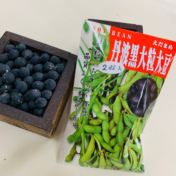 黒豆の栽培ガイド 種の植え方や追肥の時期など 上手に育てるポイントを解説 暮らし の