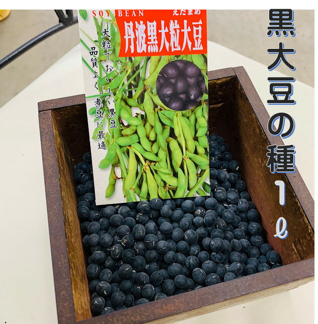 黒大豆の種 丹波黒大粒大豆 1リットル 袋入り 約750粒 お徳用 栽培用の黒豆種子です。