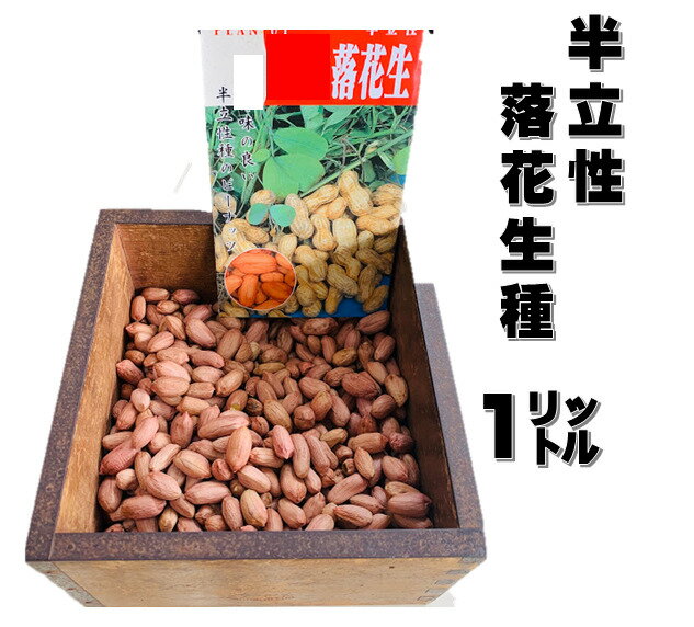 2月頃～発送 落花生 種 半立性種 1リットル 約550粒 露地直まきは5月初旬から 千葉県産 ピーナッツの種