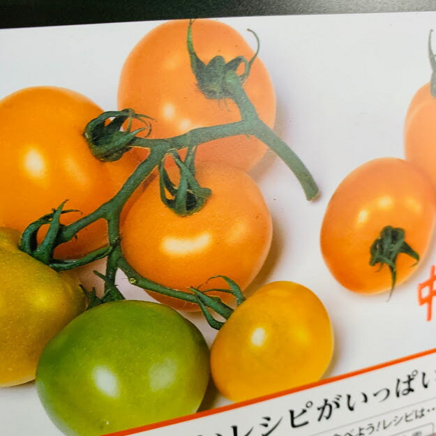 ����ǥ�������� ��̥ȥޥ� ������ ��9������ݥå� �᡼���� �������Υ���