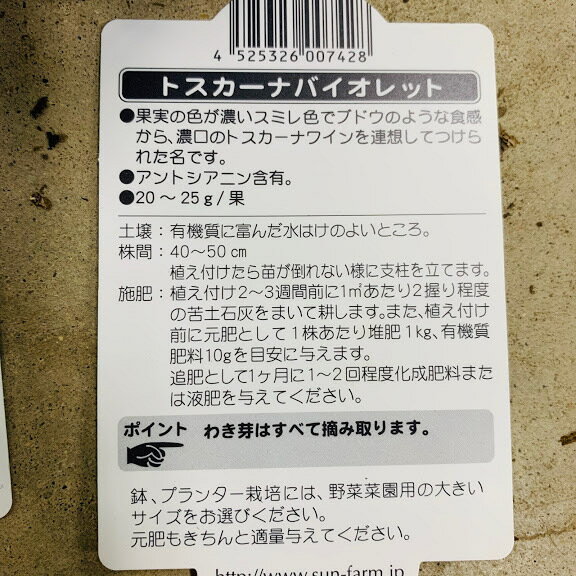 �ȥ������ʥХ�����å� �ߥ˥ȥޥ��ġ������ġ�9������ݥåȡ��Ť������䤹�����ץ�󥿡�OK